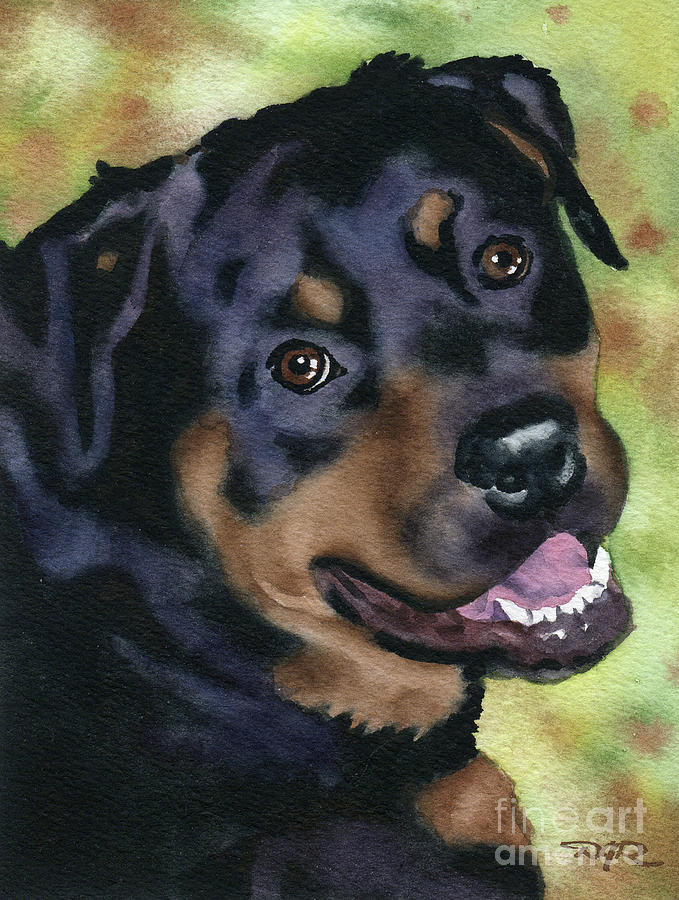 Rottweiler Painting - Rottweiler #1 by David Rogers