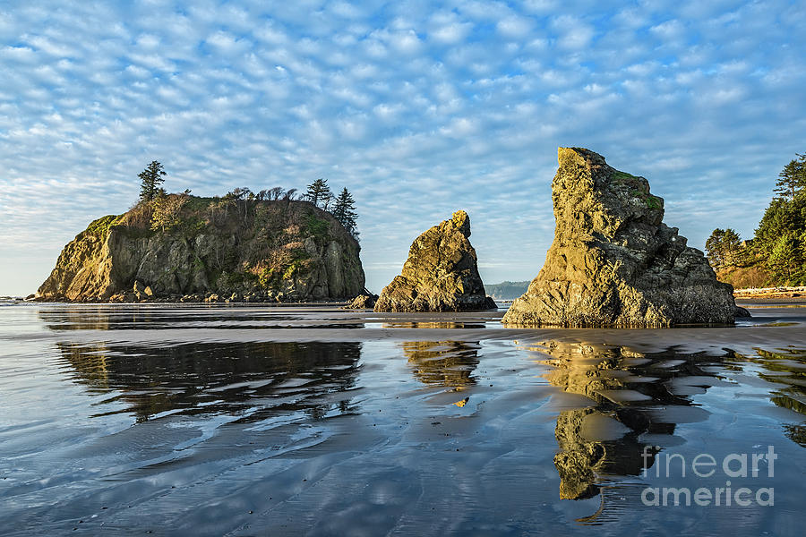 Olympic National Park Photograph - Ruby Beach in Olympic National Park located in Washington State. #2 by Jamie Pham