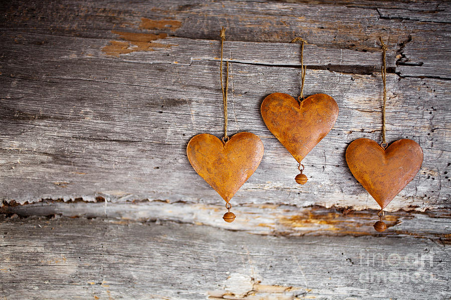 Rustic hearts #2 Photograph by Kati Finell