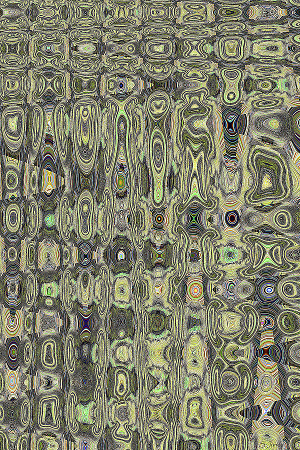 Saguaro Skin Abstract #2 Digital Art by Tom Janca