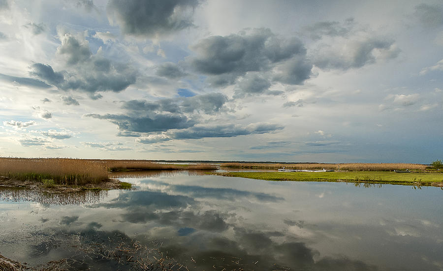 Salt Water marsh #2 Photograph by Rick Mosher