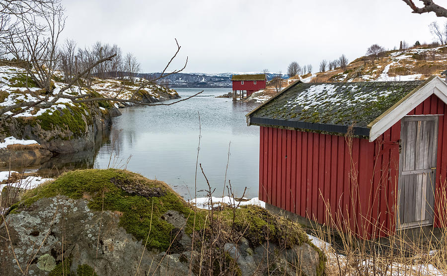 Saltstraumen Fish Houses Norway #2 Photograph by Adam Rainoff