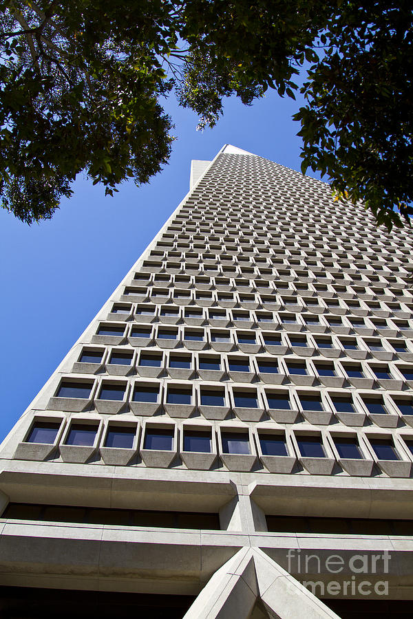 San Francisco Transamerica Pyramid Building #2 Photograph by ELITE IMAGE photography By Chad McDermott