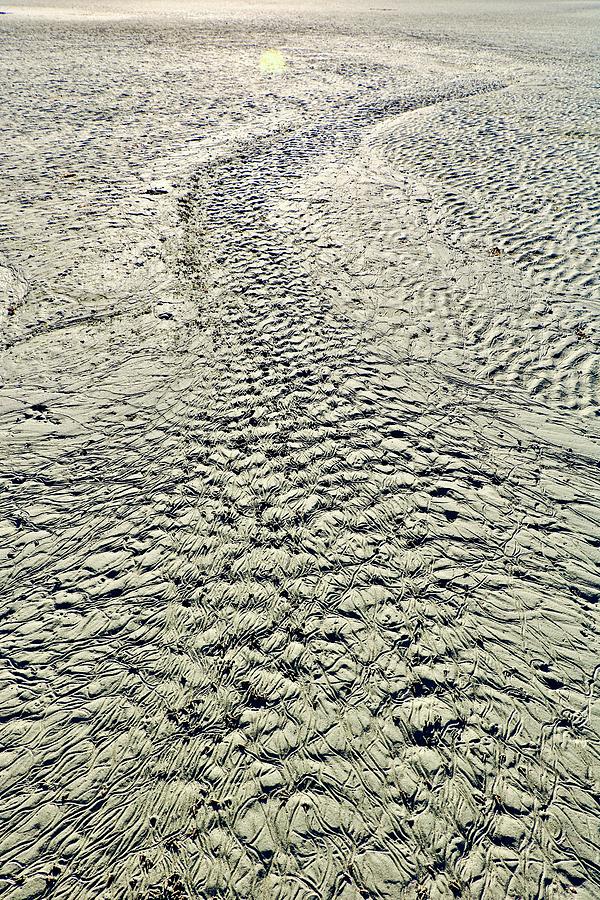 Sand #2 Photograph by Brian Sereda