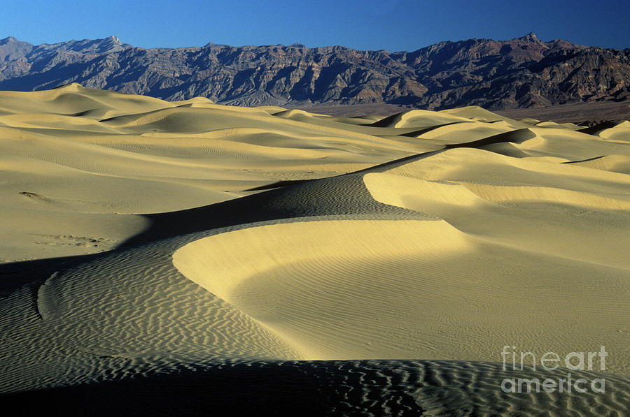 Desert Photograph - Sand Dunes #2 by Jim And Emily Bush