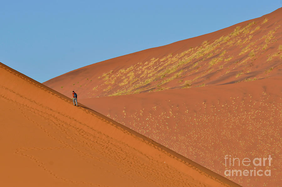 Sand Dunes, Namib Desert #2 Photograph by Francesco Tomasinelli