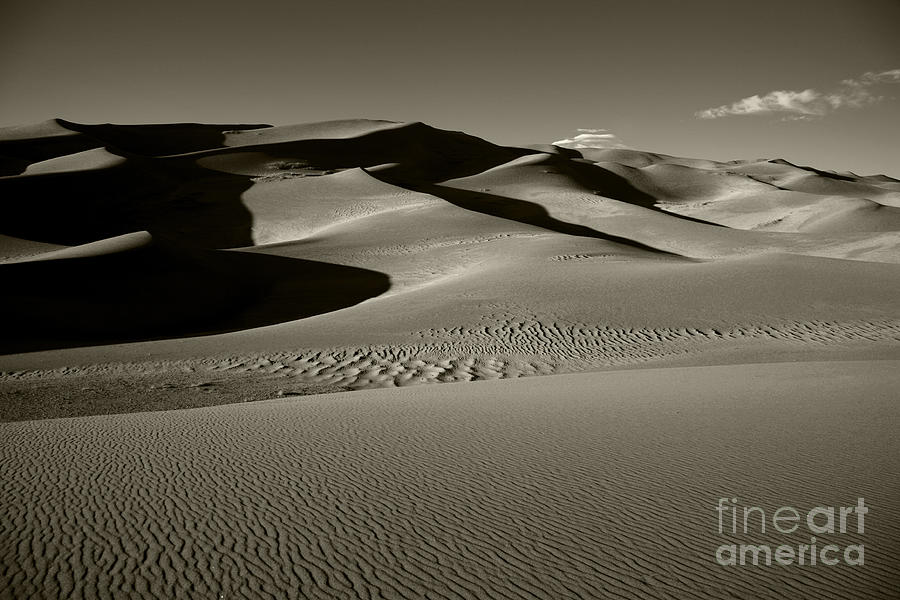 Sand Dunes #2 Photograph by Timothy Johnson