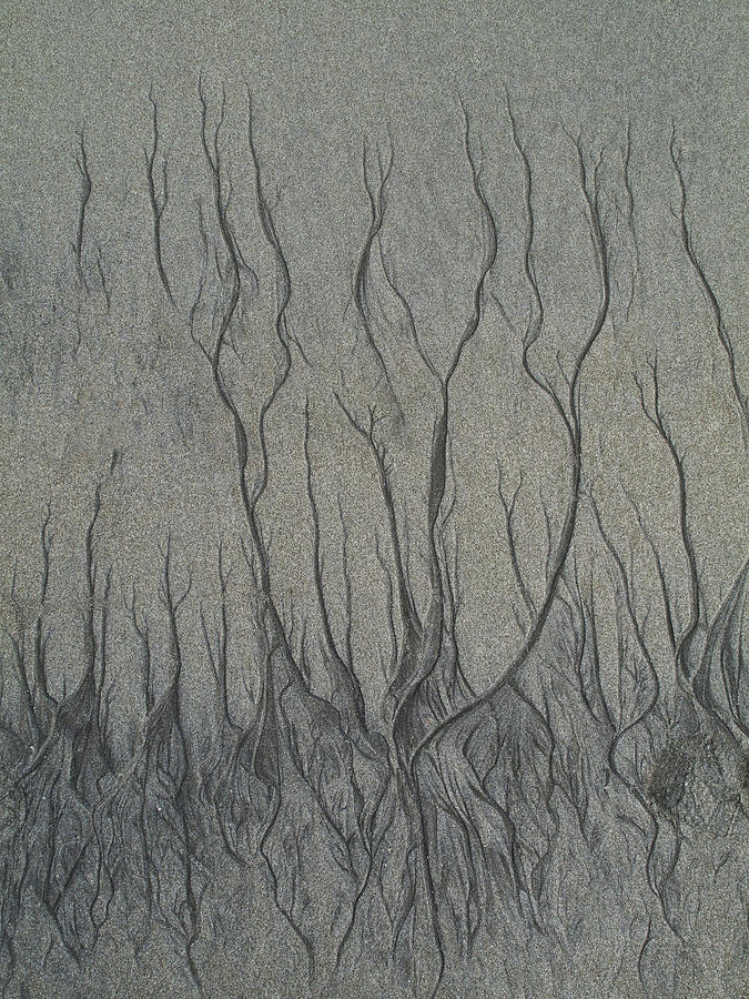 Sand Reels #2 Photograph by Joe  Palermo