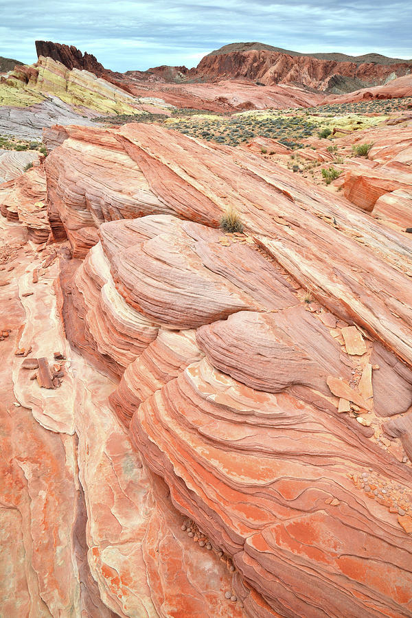 Sandstone Crest in Valley of Fire #2 Photograph by Ray Mathis