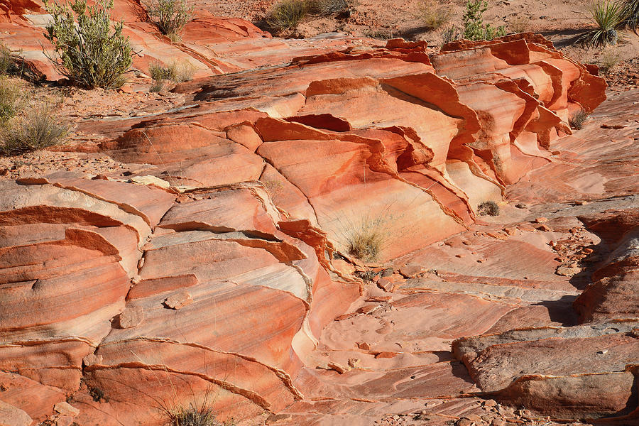 Sandstone Fins in Valley of Fire #2 Photograph by Ray Mathis
