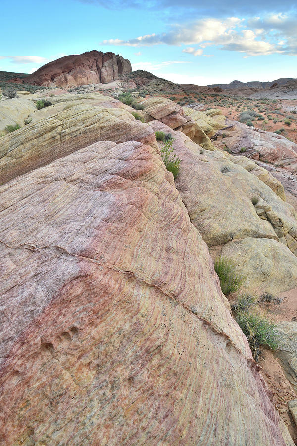 Sandstone Rainbow in Valley of Fire #2 Photograph by Ray Mathis