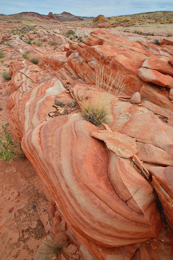 Sandstone Waves in Valley of Fire #2 Photograph by Ray Mathis