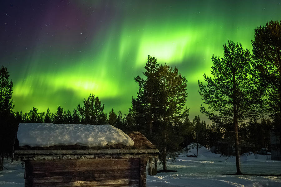 Sapmi Hut Under the Northern Lights Karasjok Norway #2 Photograph by Adam Rainoff