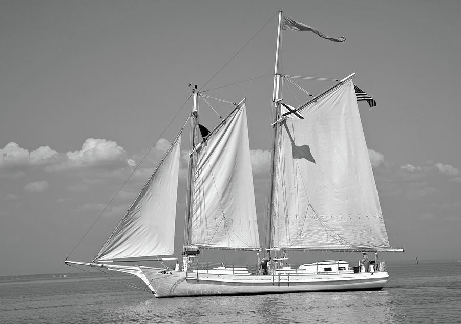Schooner On Mobile Bay #2 Photograph by Mountain Dreams