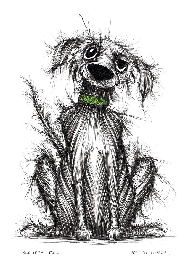Scruffy tail #2 Drawing by Keith Mills