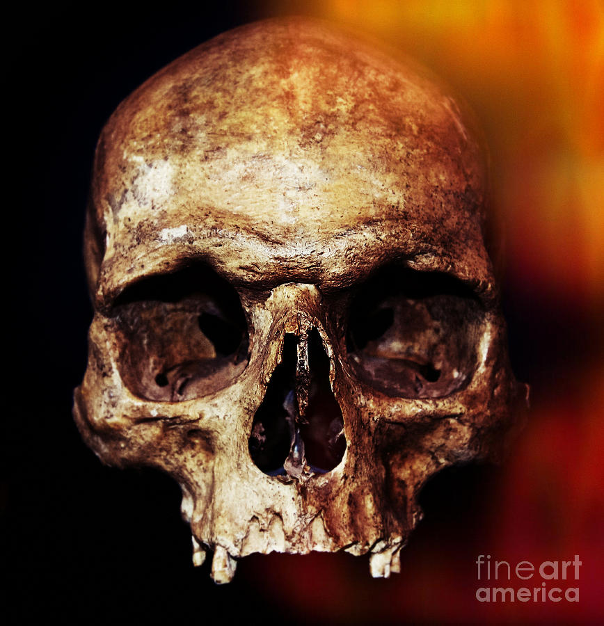 Halloween Photograph - Skull by Iryna Liveoak