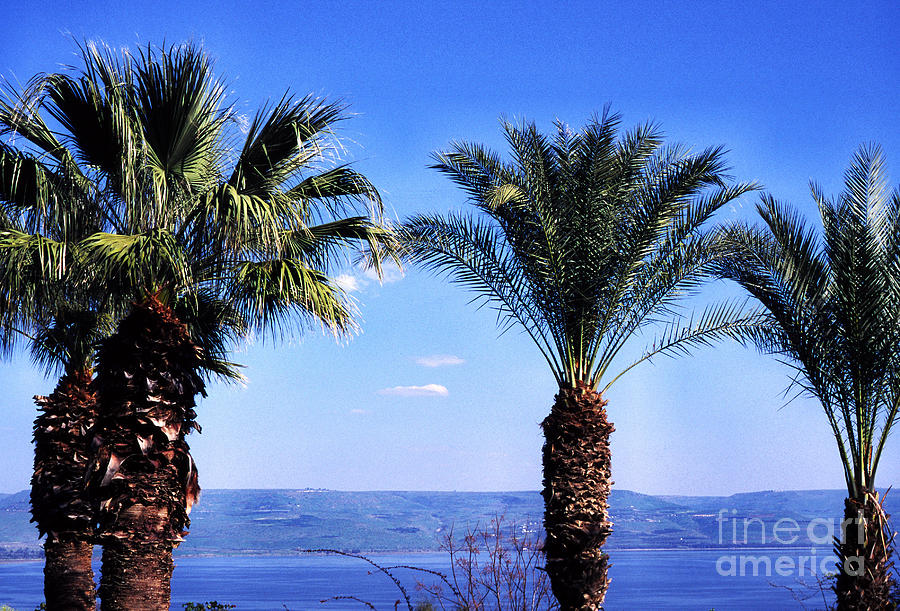 Sea of Galilee from  Mount of the Beatitudes #2 Photograph by Thomas R Fletcher