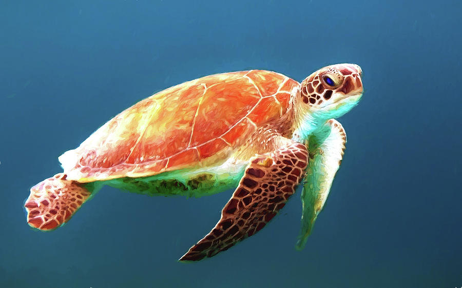 Sea Turtle #3 Digital Art by Roy Pedersen