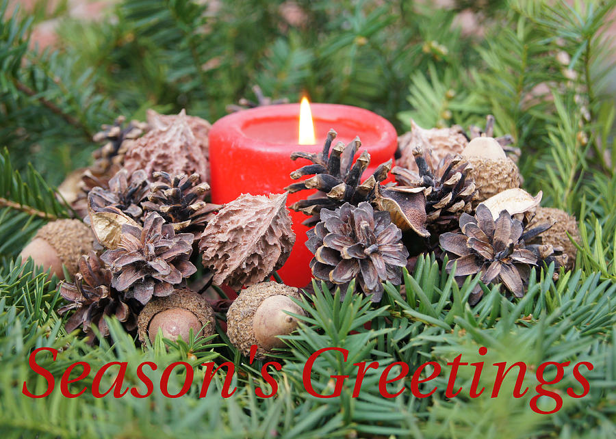 Seasons Greetings #2 Photograph by Robert E Alter Reflections of Infinity