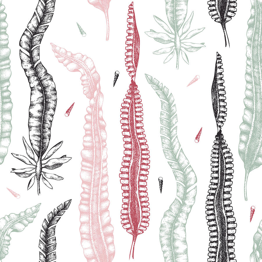 Seaweed And Underwater Prints Digital Art