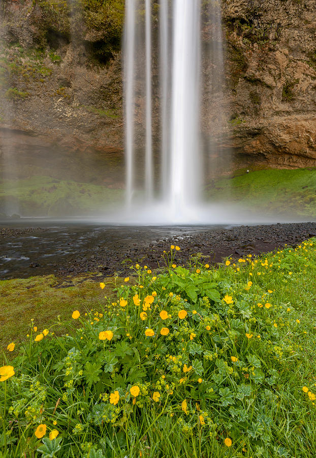 Waterfall Photograph - Seljalandsfoss Waterfall, Iceland #2 by Panoramic Images