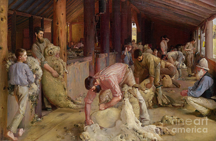 Shearing The Rams 1890 Painting By Art Anthology Pixels