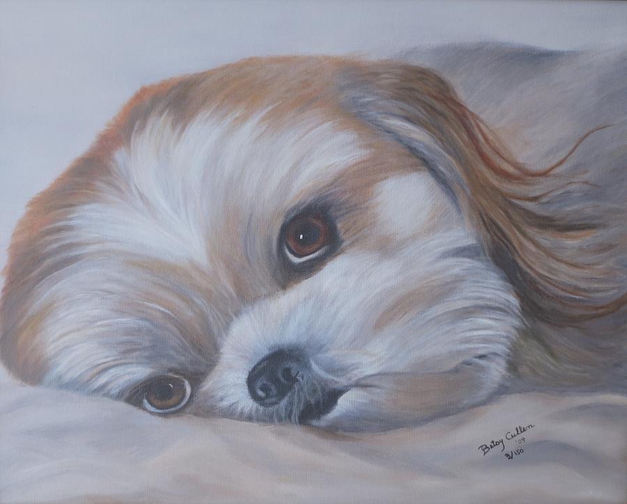 Shih Tzu Photograph by Betsy Cullen