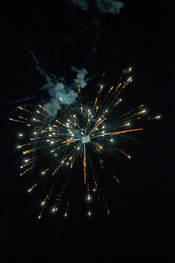 Shining Colorful Firework Over A Dark Night Sky #2 Photograph by Gina Koch