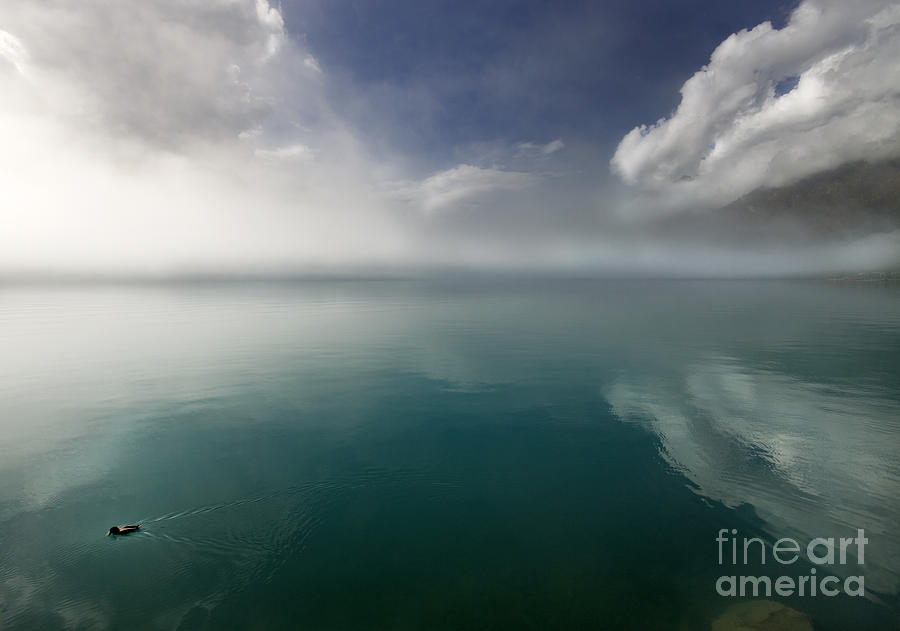 Duck Photograph - Silent lake #2 by Ang El