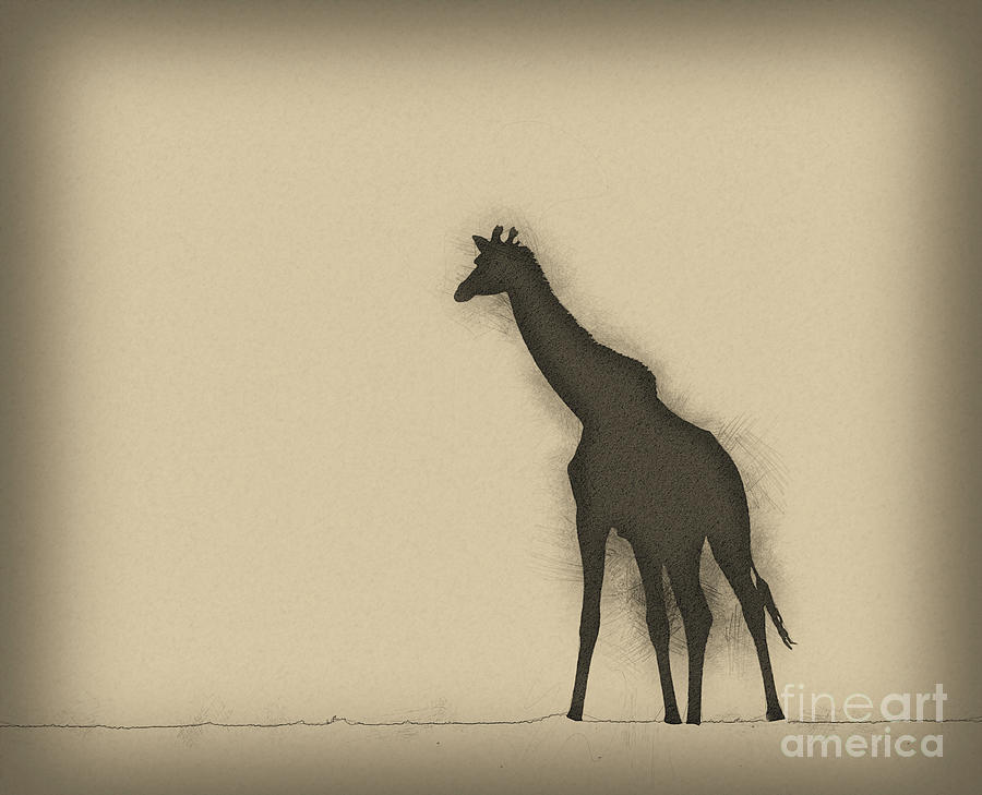 Silhouette of a giraffe  #2 Photograph by Humourous Quotes