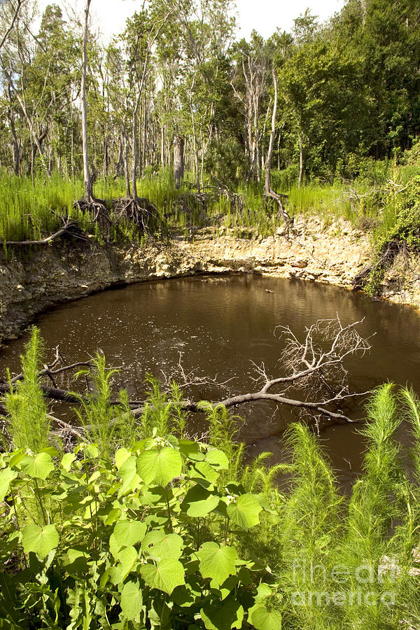 Sinkhole, Florida #2 Photograph by Inga Spence