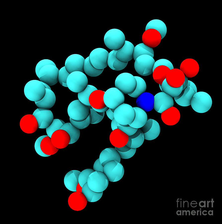 Sirolimus Rapamycin, Molecular Model #2 Photograph by Scott Camazine