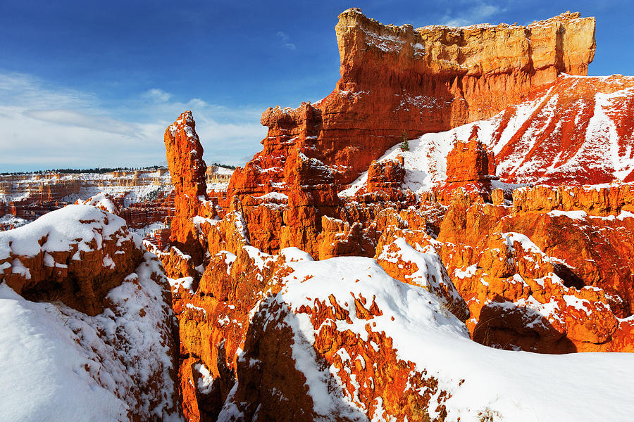 Snow Arch Bryce Canyon National Park Utah Photograph By Bruce Beck