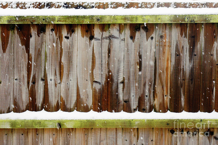 Snow on a fence #2 Photograph by Tom Gowanlock