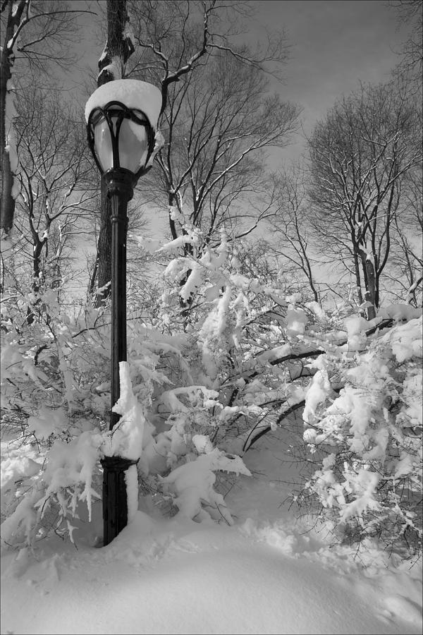 Snow Storm 2 #2 Photograph by Robert Ullmann