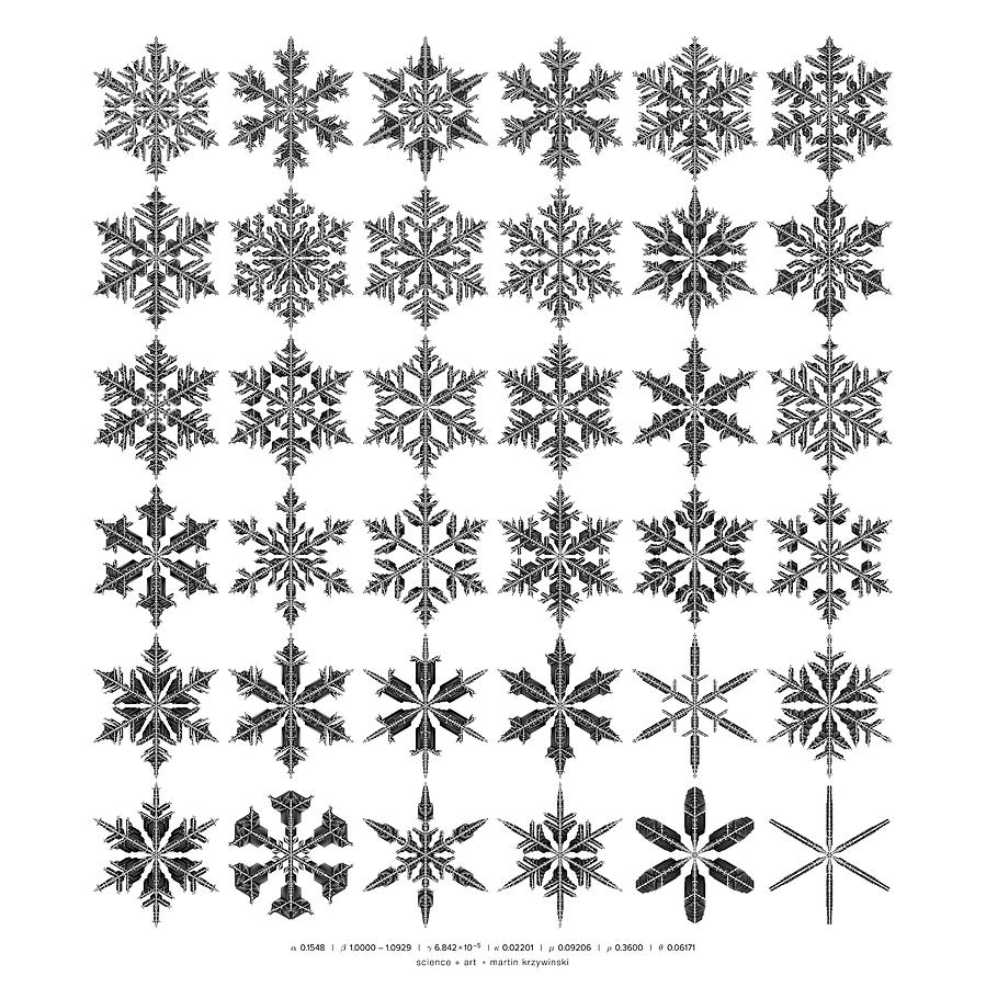 Snowflake simulation #2 Digital Art by Martin Krzywinski