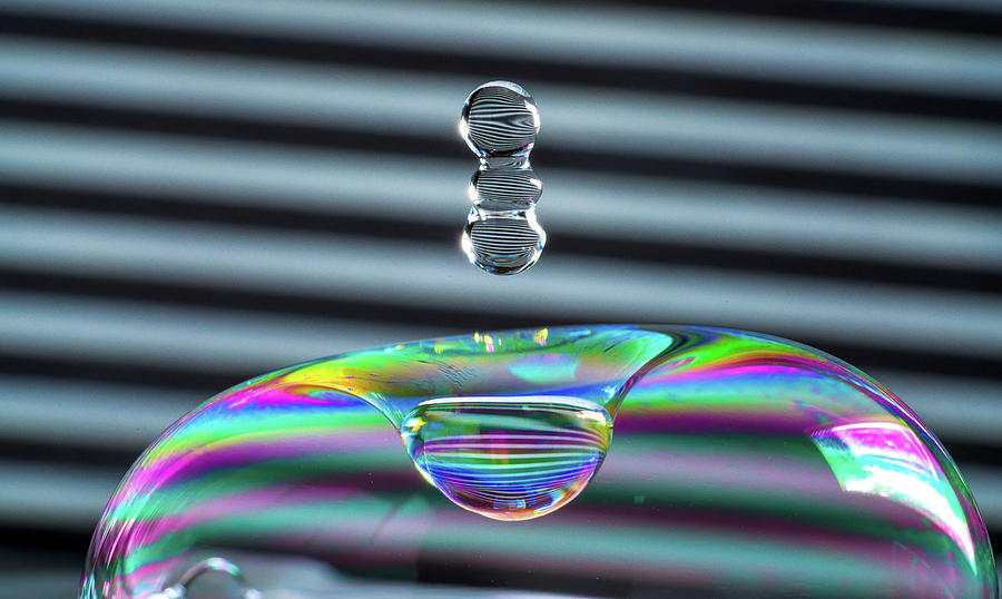 Soap Bubble Drop by Max Neivandt Soap Bubble Drop by Max Neivandt