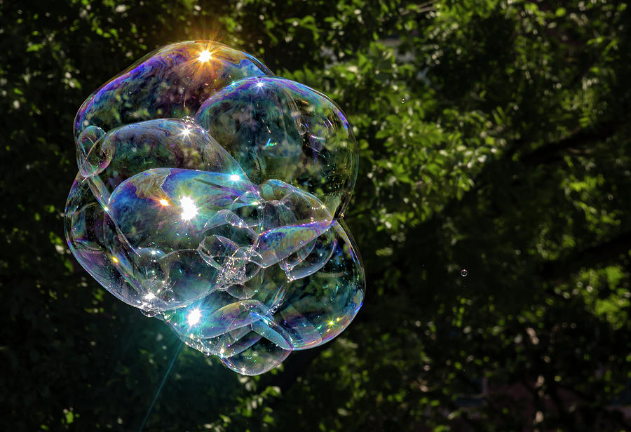 Soap Bubbles #2 Photograph by Robert Ullmann