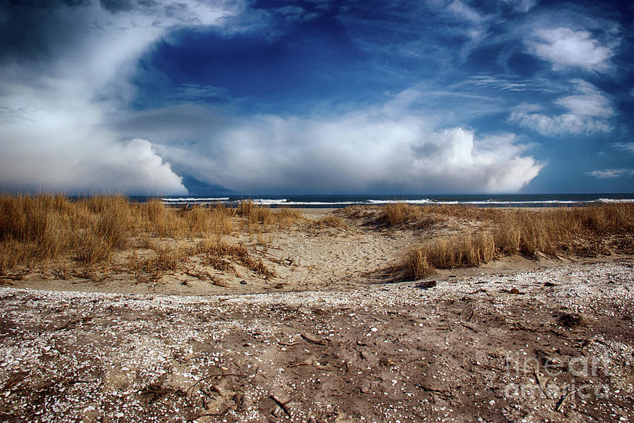Nature Photograph - Solitude on the Beach #2 by Tom Gari Gallery-Three-Photography