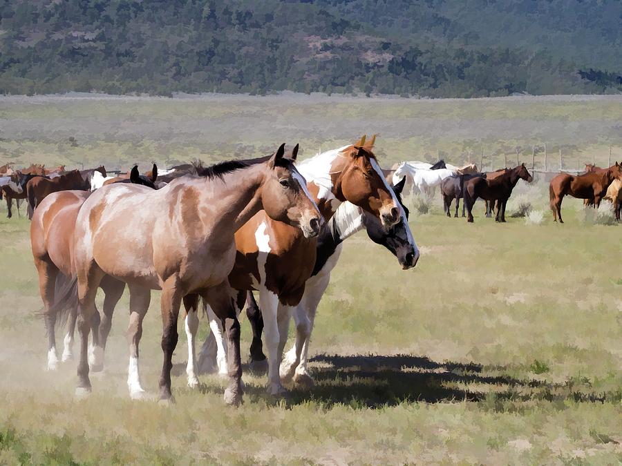 Sombrero Ranch horse drive, an annual event in Maybell, Colorado by Nadja Rider Sombrero Ranch horse drive, an annual event in Maybell, Colorado by Nadja Rider