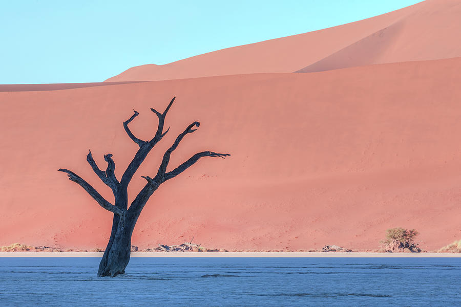 Sossusvlei - Namibia #2 Photograph by Joana Kruse