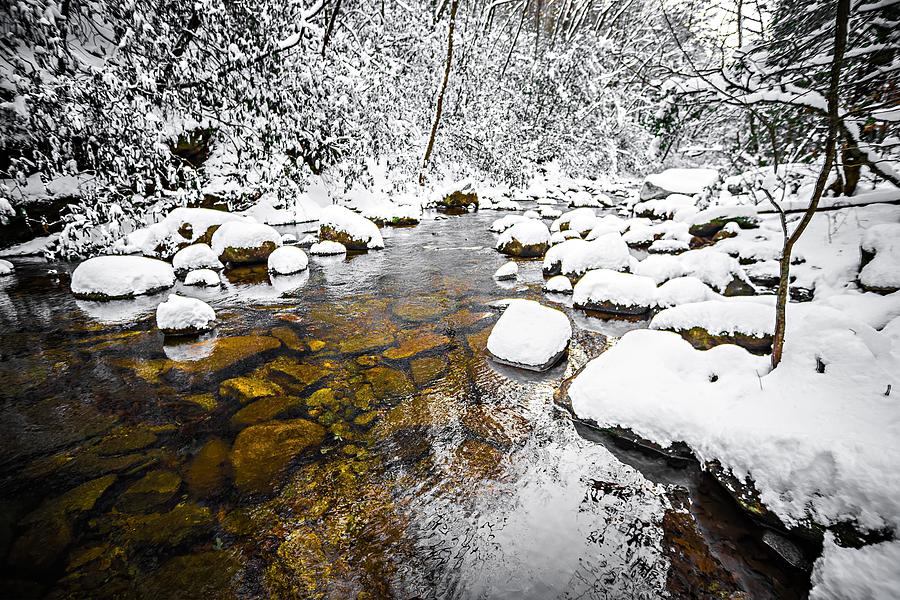 South Mountain Stream In Winter Woods #2 Photograph by Alex Grichenko