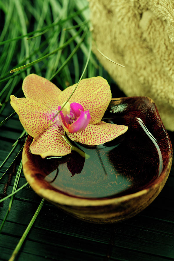 Spa Composition With Beautiful Orchid Photograph By Natalia Klenova