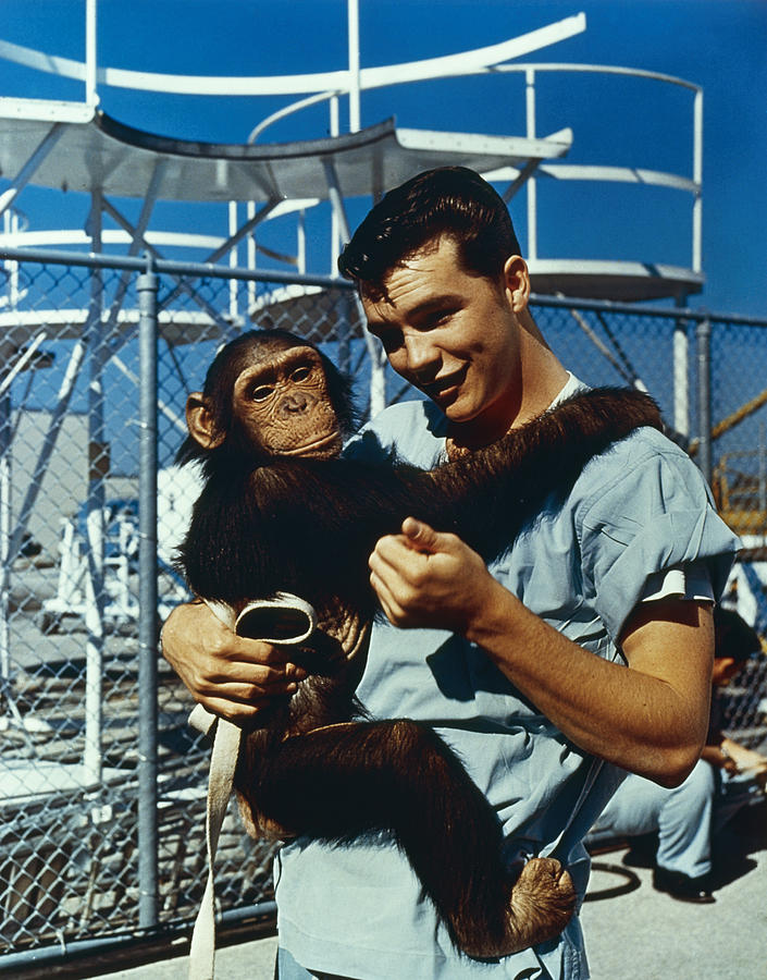 Space: Chimpanzee, 1961 #2 Photograph by Granger