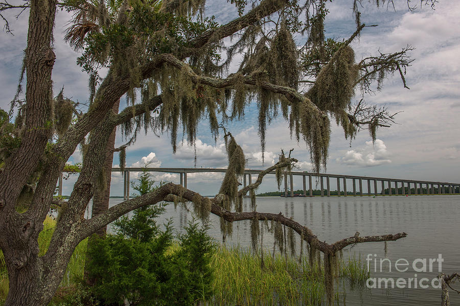 Spanish Moss Bridge View #3 Photograph by Dale Powell