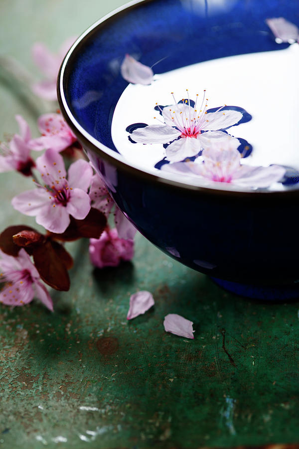 Spring Flowers In Blue Bowl Photograph by Natalia Klenova