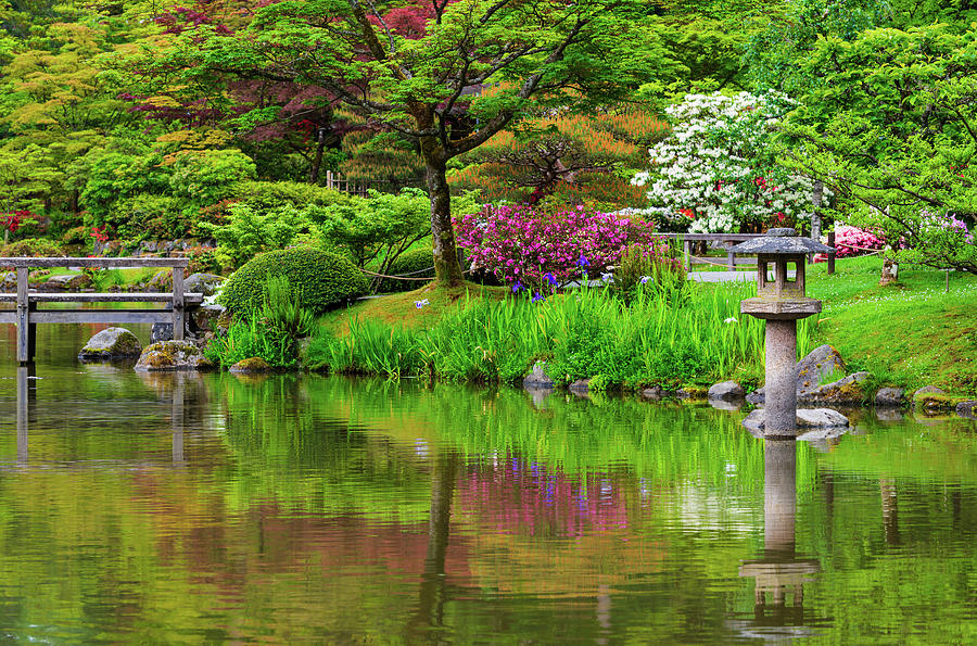 Spring Glories In Seattle Japanese Garden #2 Digital Art by Michael Lee