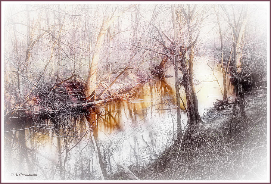 Spring, Pennypack Creek, Montgomery County, Pennsylvania #2 Photograph by A Macarthur Gurmankin