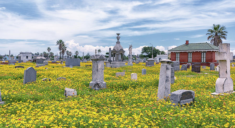 Springtime at the Cemetery by Victor Culpepper Springtime at the Cemetery by Victor Culpepper