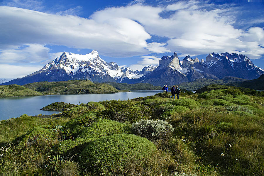Springtime in Patagonia #2 Photograph by Michele Burgess